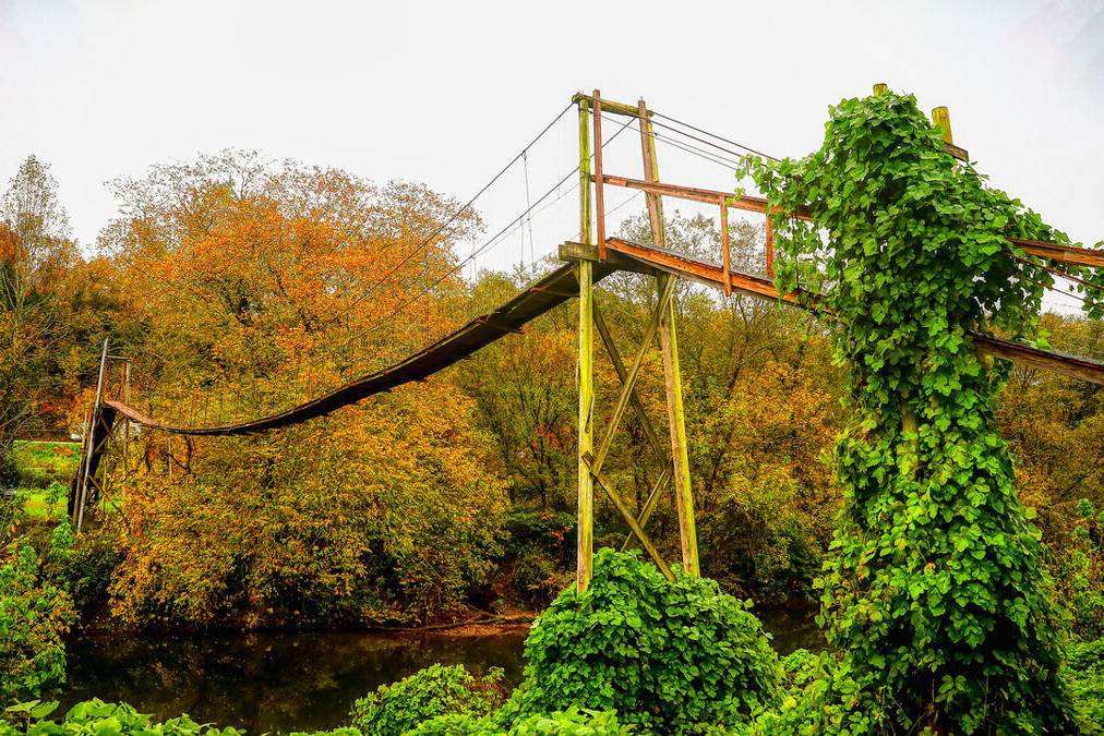 Swinging bridge in autumn
